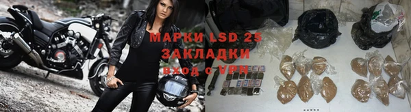 ГАЛЛЮЦИНОГЕННЫЕ ГРИБЫ Арсеньев