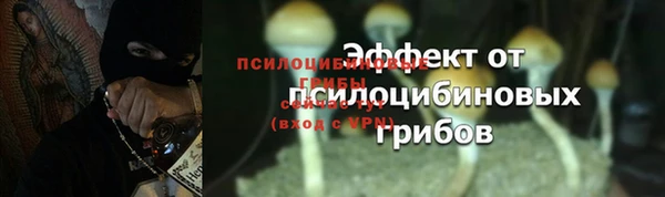 ГАЛЛЮЦИНОГЕННЫЕ ГРИБЫ Арсеньев